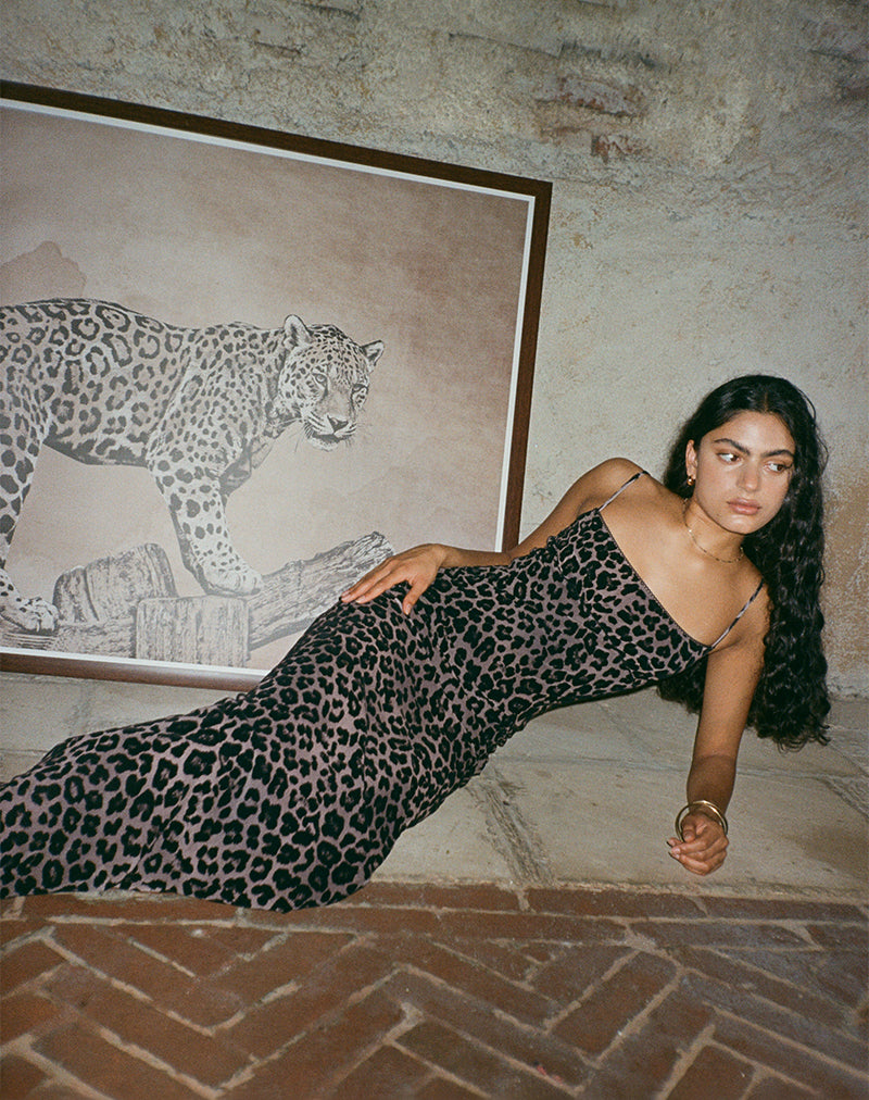slim fit dress slacks Rar Leopard Flocked Maxi Dress