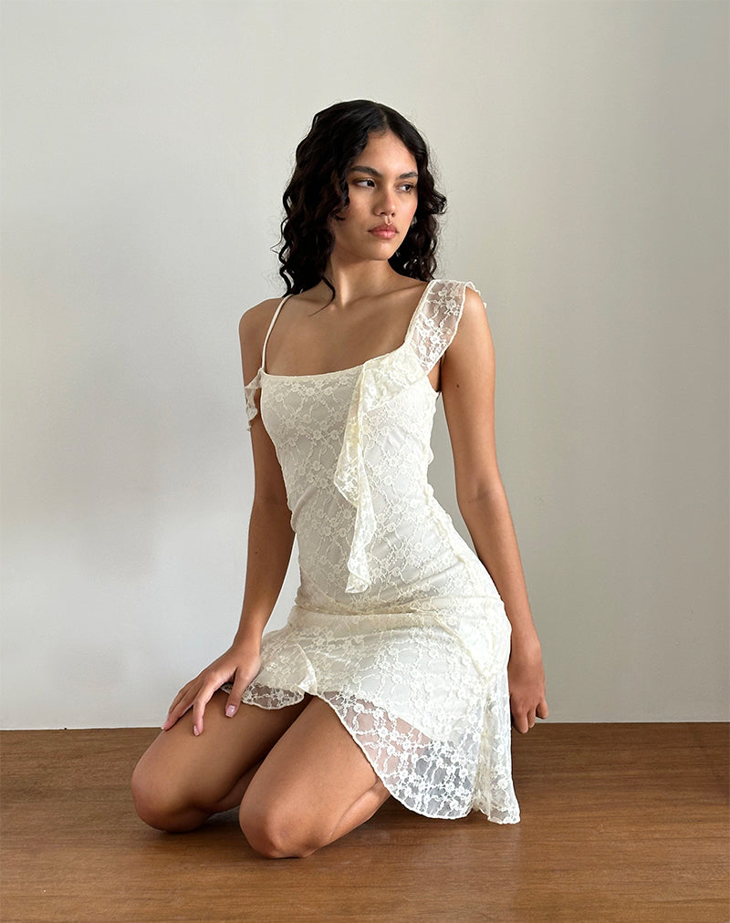 Image of Jati Mini Dress in Off White Canina Rose Lace