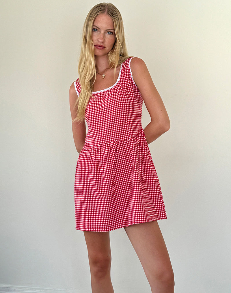 Image of Leshi Mini Dress in Red Gingham