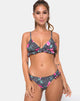 Image of Sakila Bikini Top in Paradise Polka