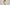 SLIP DRESSES