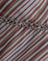 Chiffon Grey and Maroon Diagonal Stripe