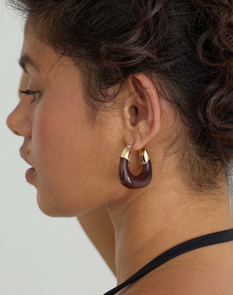 Image of Acrylic Brown and Gold Plated Hoop Earrings