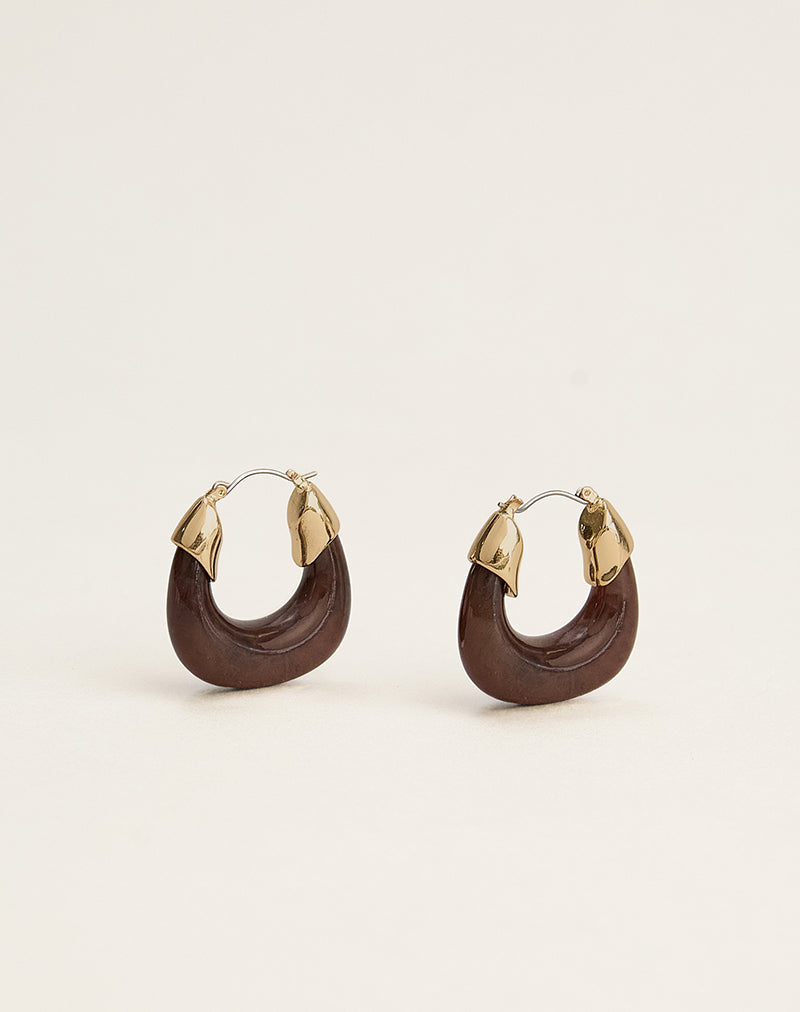 Image of Acrylic Brown and Gold Plated Hoop Earrings