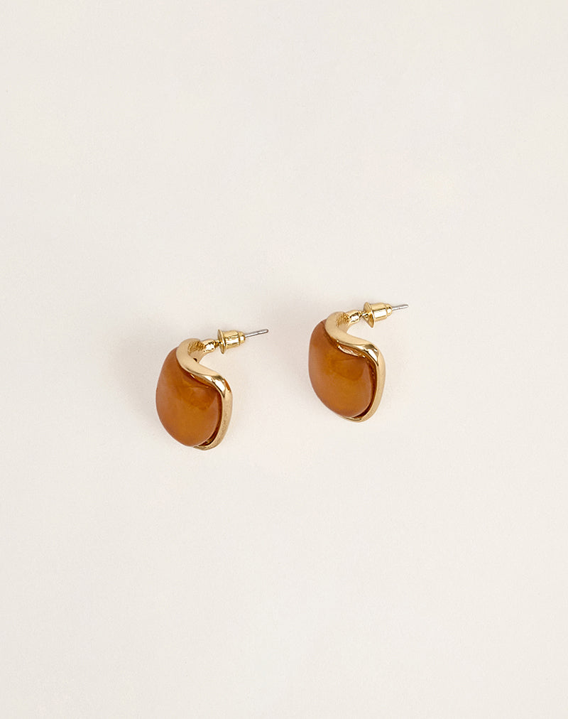 Image of Circular Brown Acrylic Stud Earrings