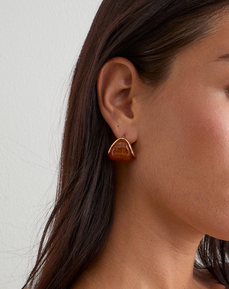 Circular Brown Acrylic Stud Earrings