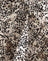 Wild Leopard Print