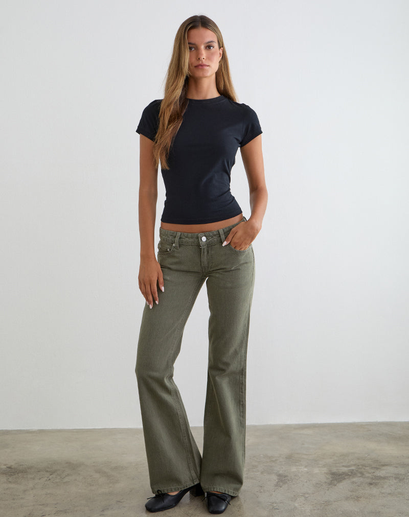 Extra Low Rise Flare Jeans in Olivine