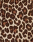 Rar Leopard