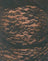 Jet Black Lace