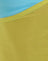 Baby Blue and Mustard