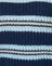 Navy and Light Blue with Black Stripe