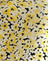 Sunflower Pop Yellow