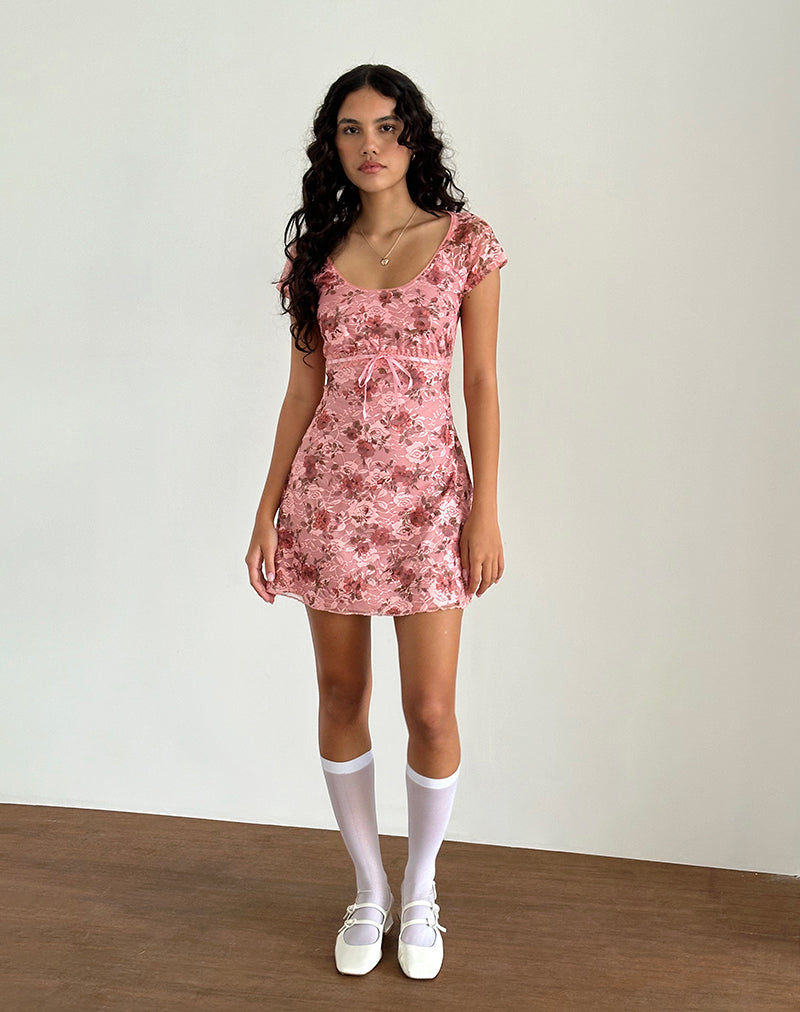 motel rocks pink floral dress Prinsa Dress in Pink Lace Floral Bloom