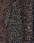 Sequin Mesh Black