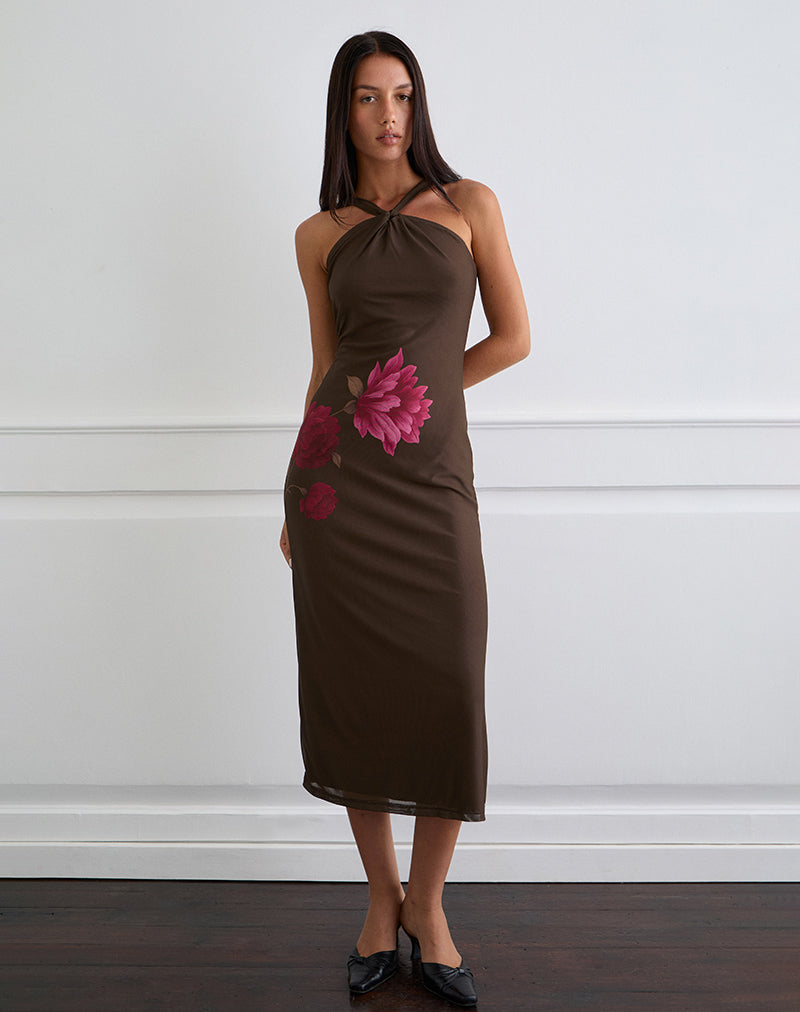 Image of Silvra Halterneck Midi Dress in Brown with Pink Flower Print