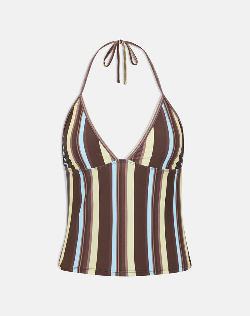 Thorin Tankini in Brown and Blue Linear Stripe