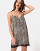 Image of Balace Slip Dress in Rar Leopard with Black Lace