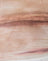 Abstract Animal Skin