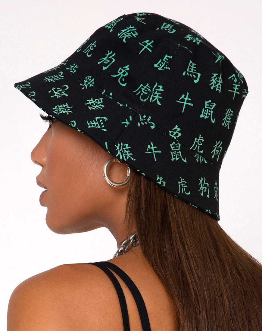 Image of Bucket Hat in Hidden Charm Black and Peppermint