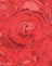 Rose Petal Red
