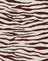 Easy Tiger Cocoa
