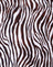 Zebra Vertical