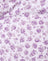 Ditsy Rose Lilac