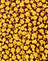 DitsyRoseMarigold