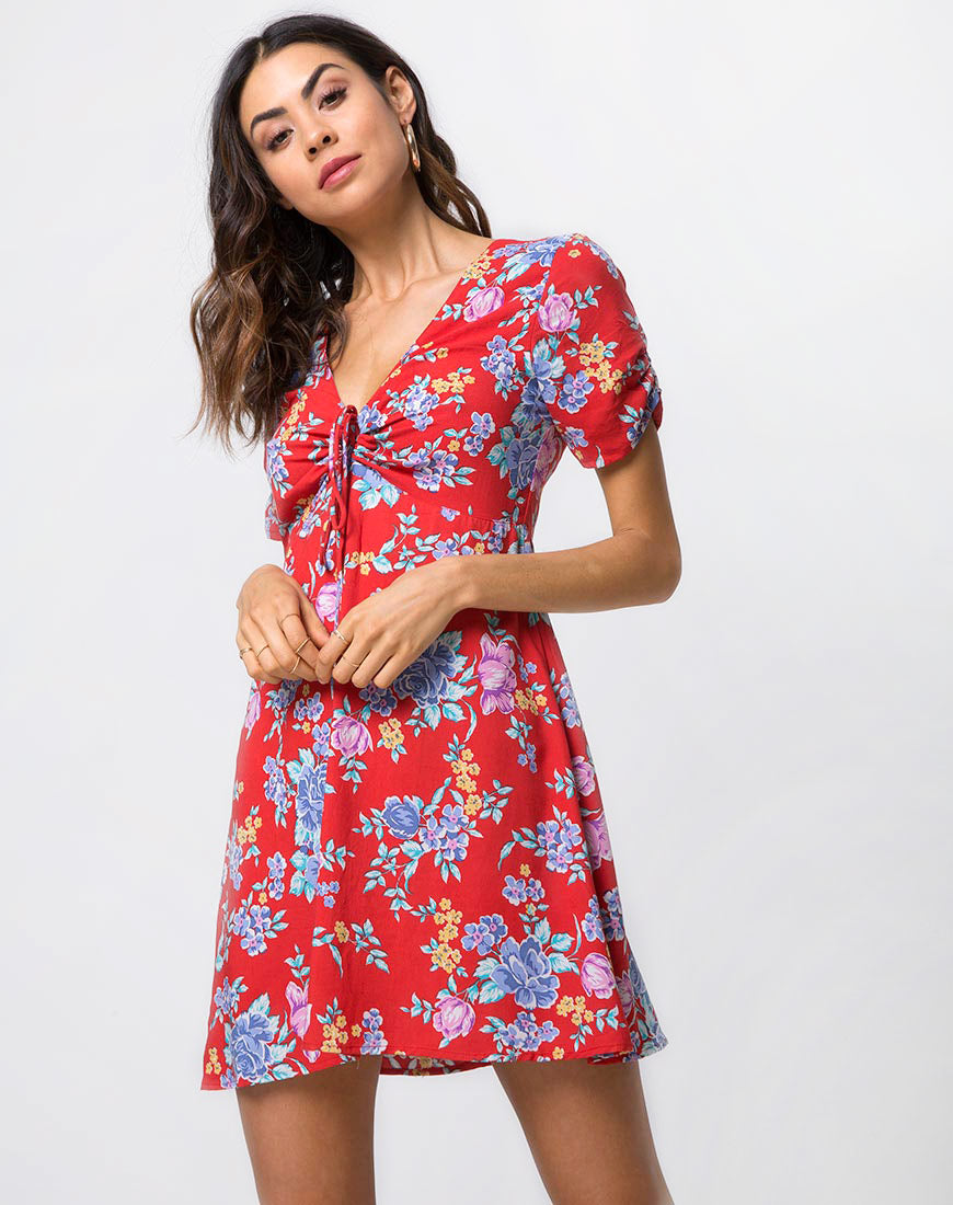 Giska Tea Dress in Vintage Fleur