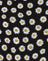  Grunge Daisy Black