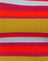 Stripe Palm Orange Purple and Blue