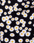 Mini Daisy Black