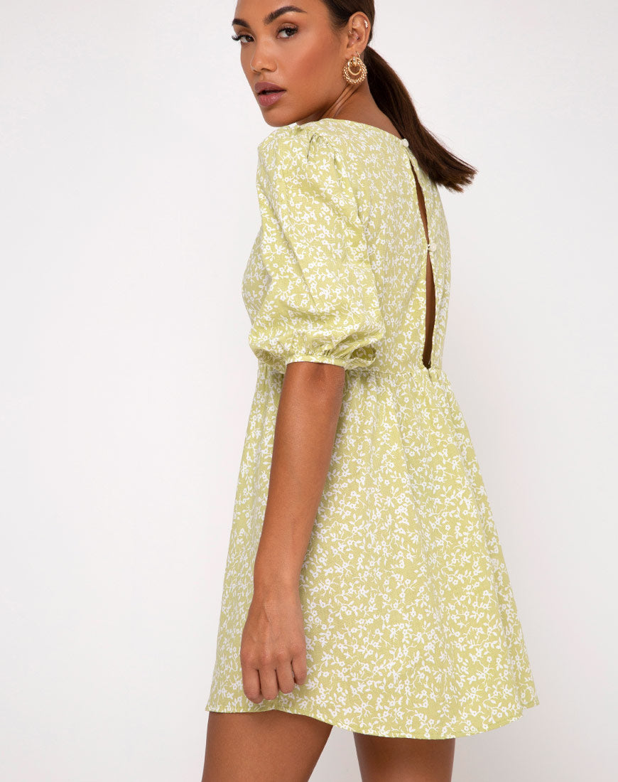 Image of Kezie Skater Dress in Botanic Mint Foam