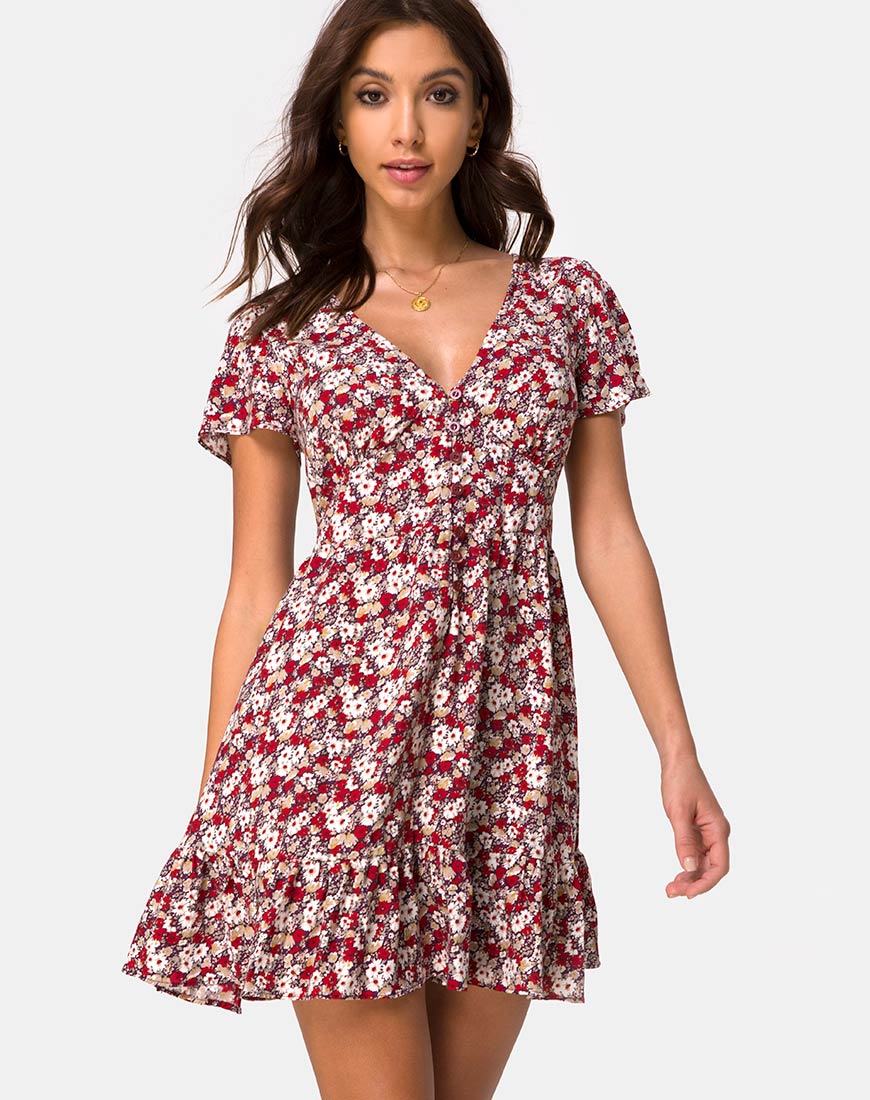 Image of Laily Skater Dress in Floral Charm Red