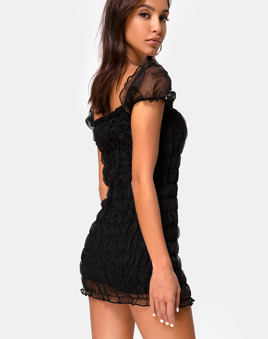 Image of Lenira Dress in Black Organza
