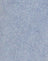   Light Wash Blue
