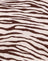 Easy Tiger Cocoa
