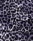 RarLeopardGrey