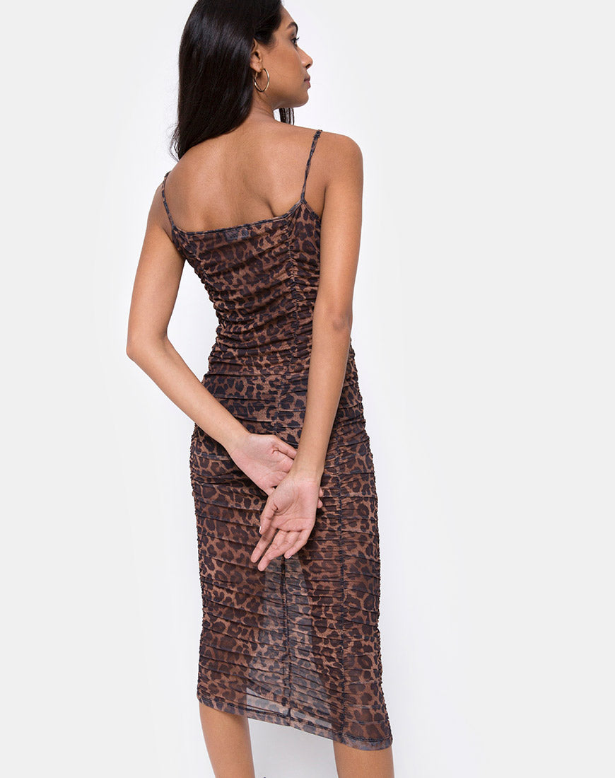 Image of Mauna Dress in Leopard Mesh