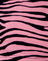 Zips Zebra Pink