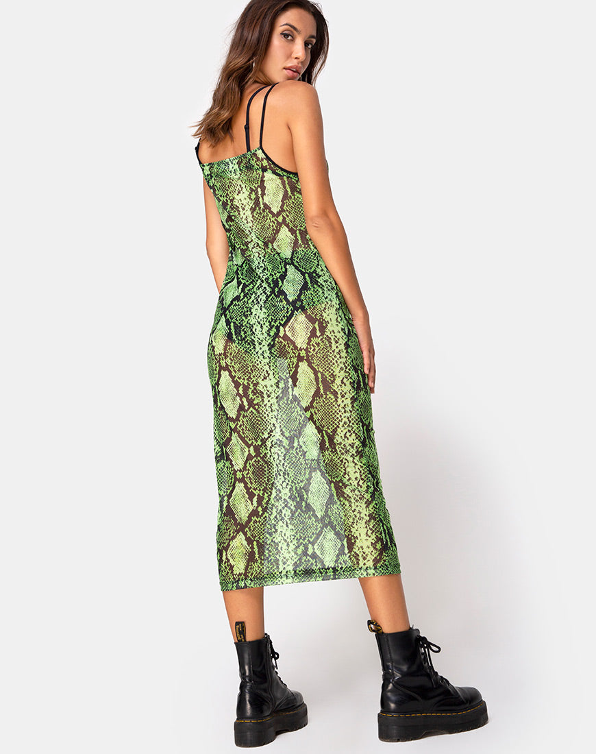 Image of Midnight Midi Dress in Slime Lime Snake Mesh
