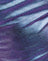 Holographic Purple