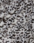Animal Grey