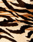 Tiger Gold