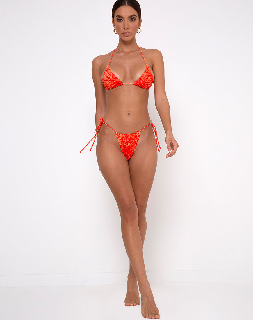 Image of Leyna Bikini Bottoms in Sand Leopard Orange