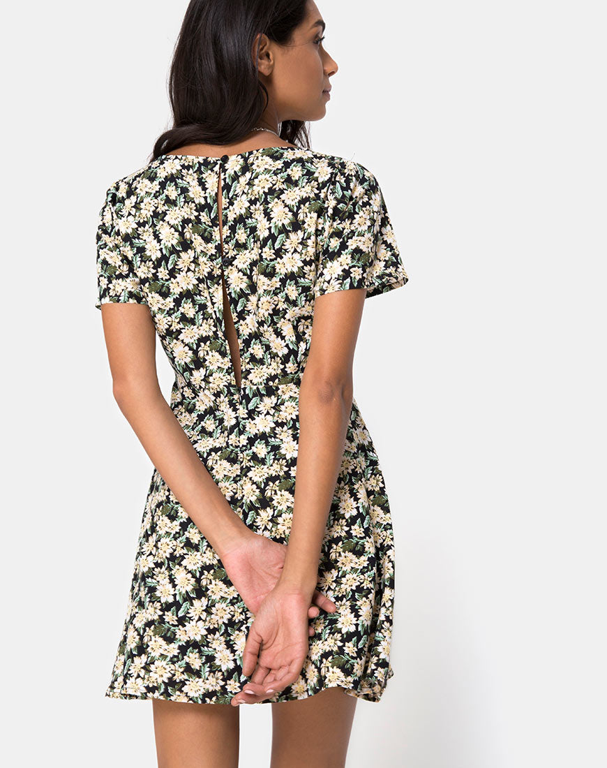 Image of Peky Skater Dress in Aster Black