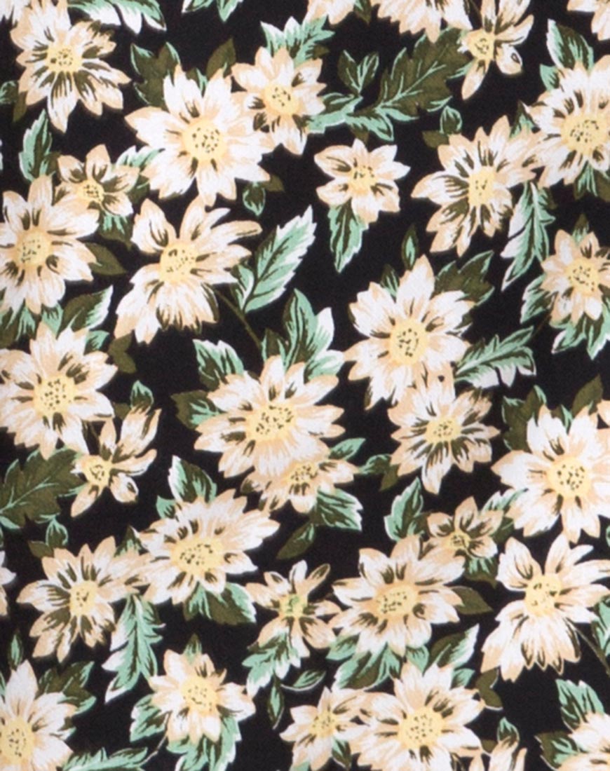 Image of Peky Skater Dress in Aster Black