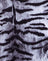 TigerFullSilverPlacement