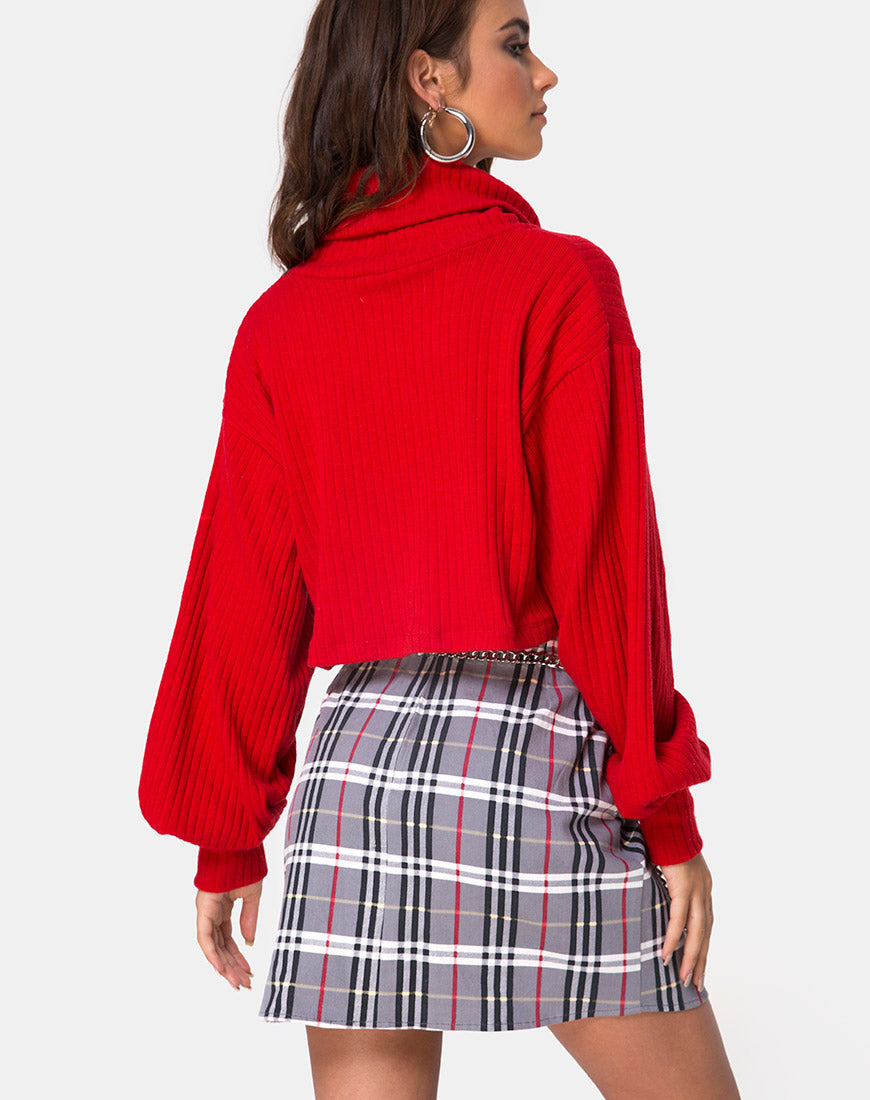 Image of Pelmo Skirt in Heritage Check
